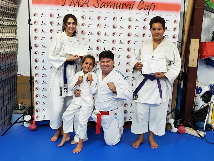 IMA Houston Karate Picture 1
