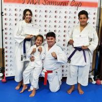 IMA Houston Karate ico