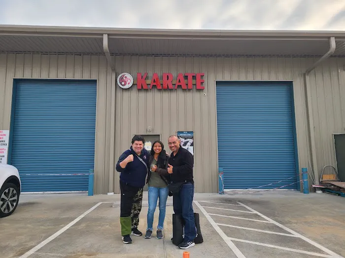 IMA Houston Karate Picture 7