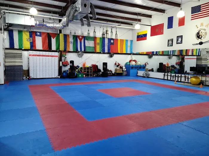 IMA Houston Karate Picture 3