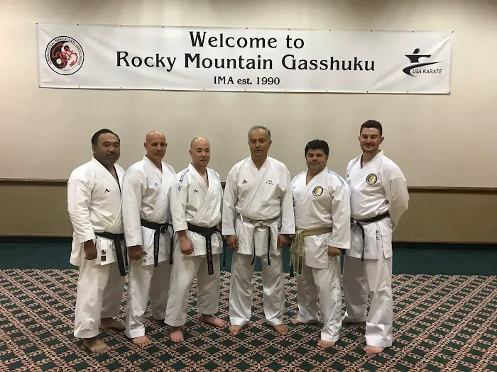 IMA Houston Karate Picture 5