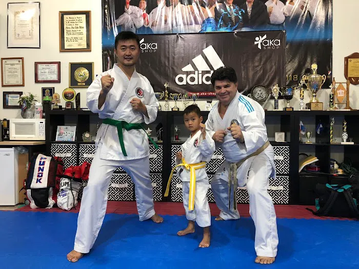 IMA Houston Karate Picture 8