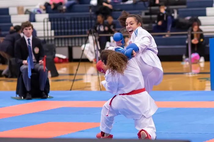IMA Houston Karate Picture 9