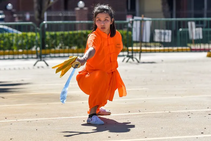 Houston Shaolin Temple KungFu Center Picture 5