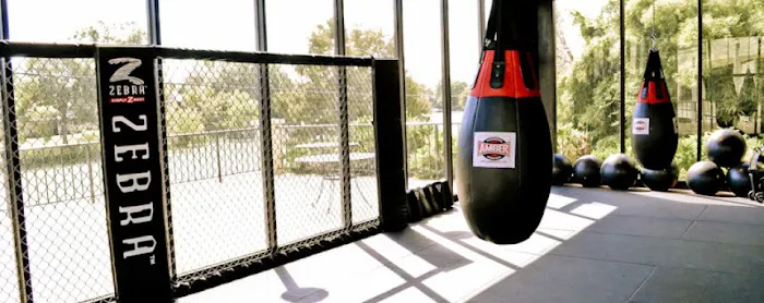 TX 3RD COAST MMA Picture 8