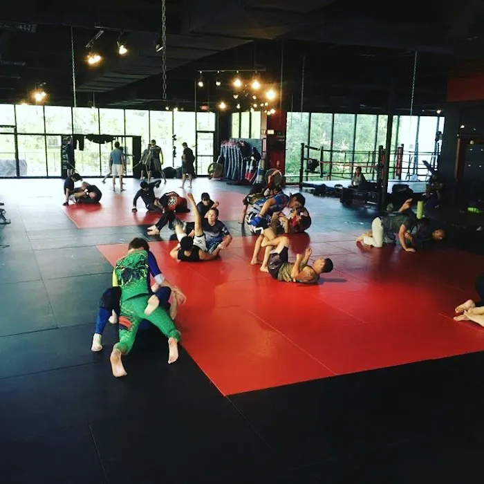 TX 3RD COAST MMA Picture 5