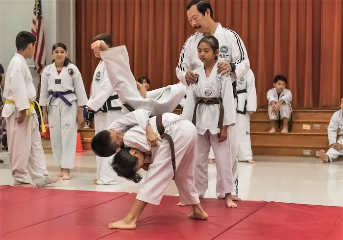 Houston Self Defense Picture 7