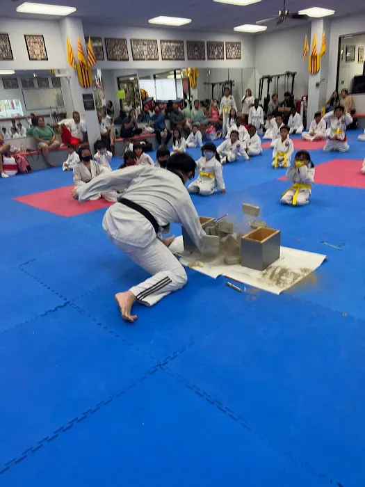Houston Self Defense Picture 6