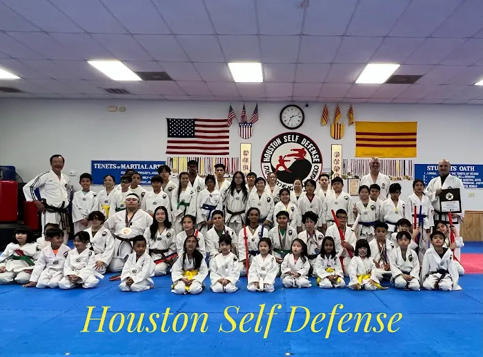 Houston Self Defense Picture 4