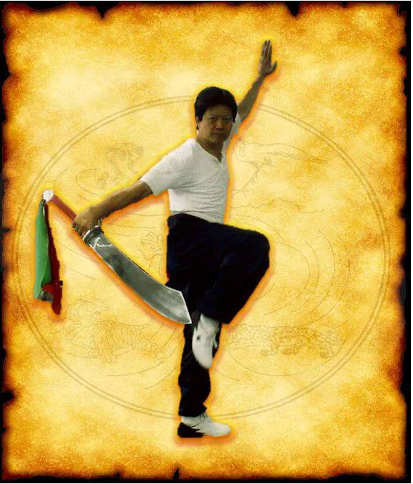 Chu's Kung Fu Picture 4