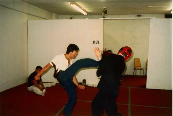 Chu's Kung Fu Picture 6