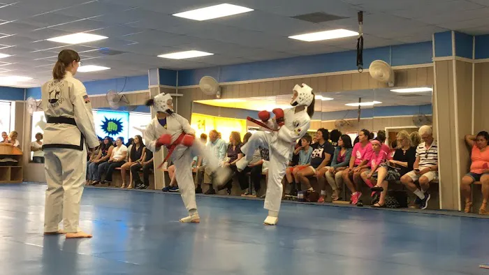 Unified Tae Kwon-Do Picture 7