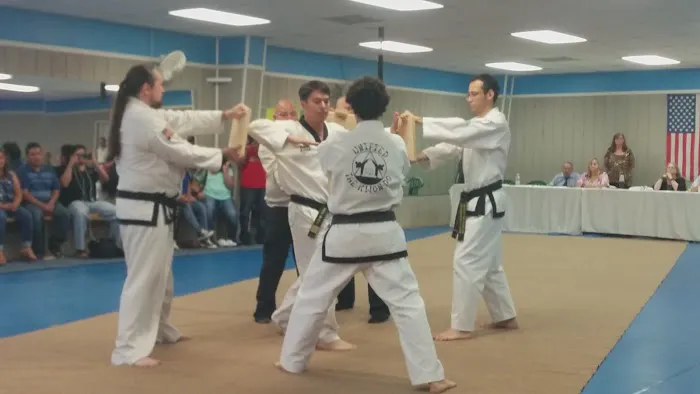 Unified Tae Kwon-Do Picture 6