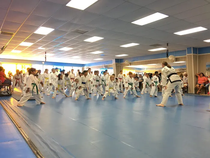 Unified Tae Kwon-Do Picture 10
