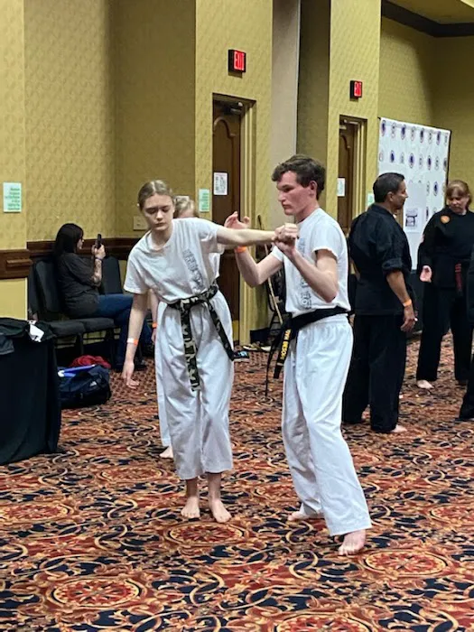 Fighting Dragon Tae Kwon Do Picture 3