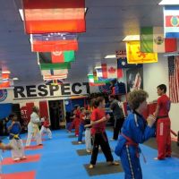 Olympia Tae Kwon Do ico