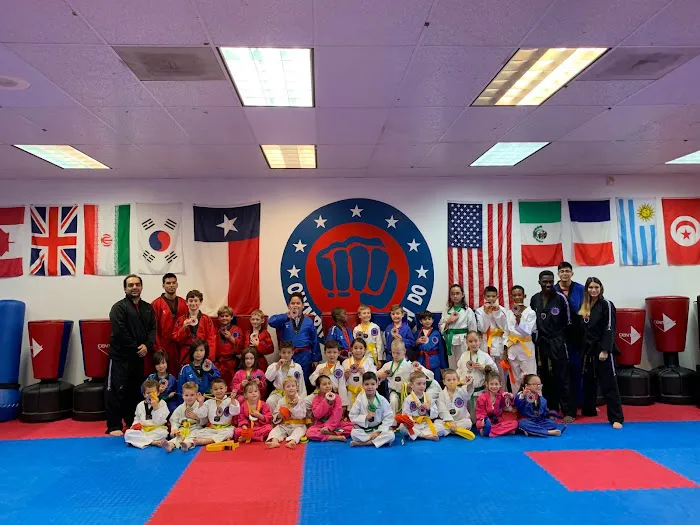 Olympia Tae Kwon Do Picture 8
