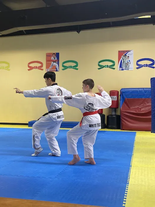 White Tiger Tae Kwon Do Picture 3