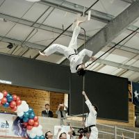 White Tiger Tae Kwon Do ico