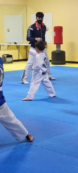 White Tiger Tae Kwon Do Picture 9