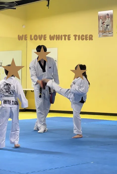 White Tiger Tae Kwon Do Picture 8