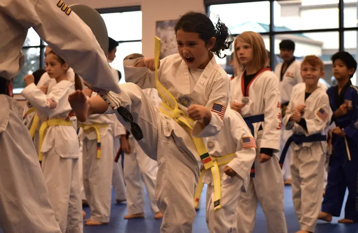 K-Taekwondo U.S Black Belt Center Picture 10