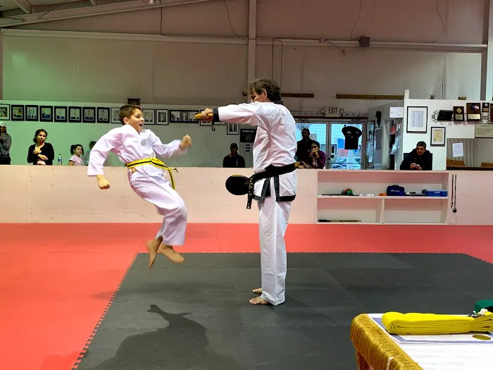 Double Dragon Martial Arts Center Picture 2