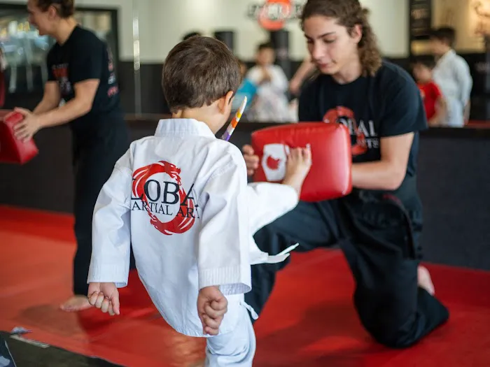 Global Martial Arts Picture 1