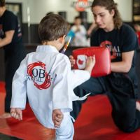 Global Martial Arts ico