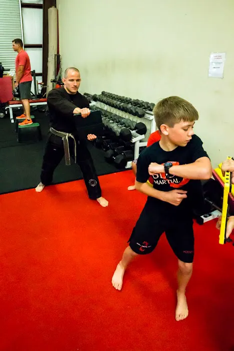Global Martial Arts Picture 6