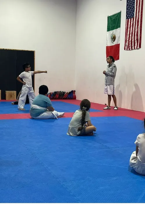 South Tejas Taekwondo Picture 1
