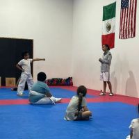 South Tejas Taekwondo ico
