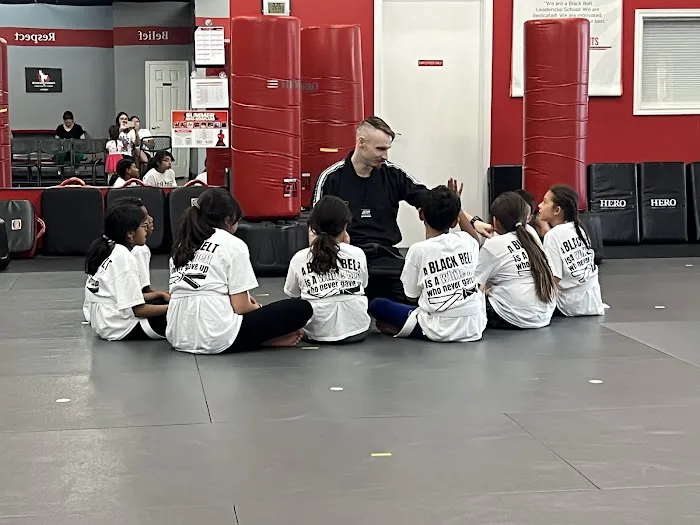 HERO Martial Arts Academy - 2920 Picture 4