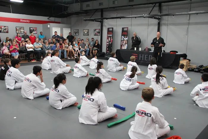 HERO Martial Arts Academy - 2920 Picture 6