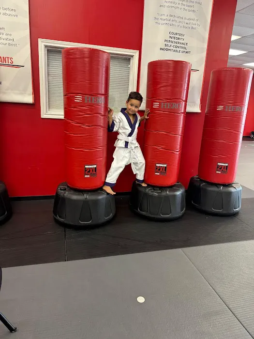 HERO Martial Arts Academy - 2920 Picture 7