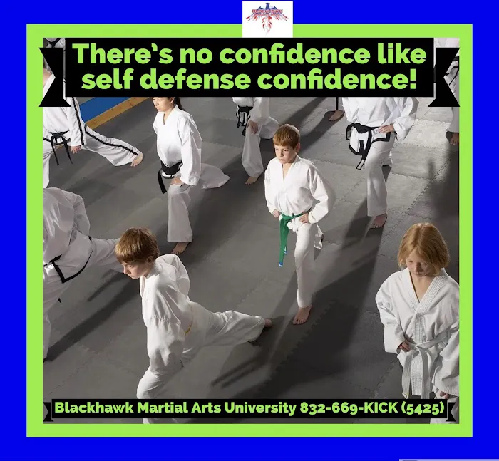 Blackhawk Martial Arts University Picture 1