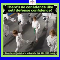 Blackhawk Martial Arts University ico