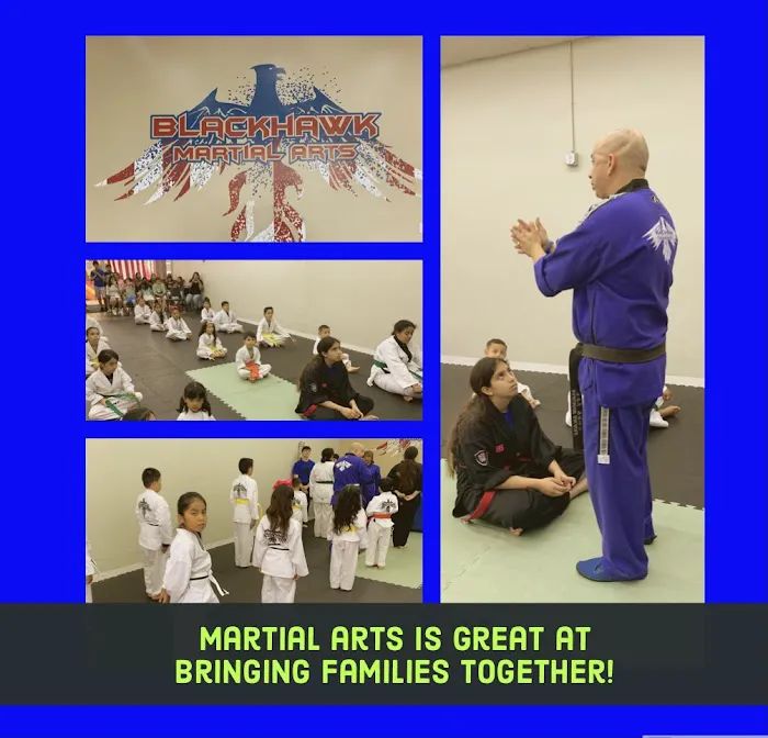 Blackhawk Martial Arts University Picture 7