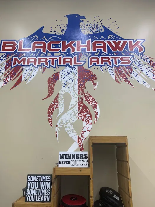 Blackhawk Martial Arts University Picture 8
