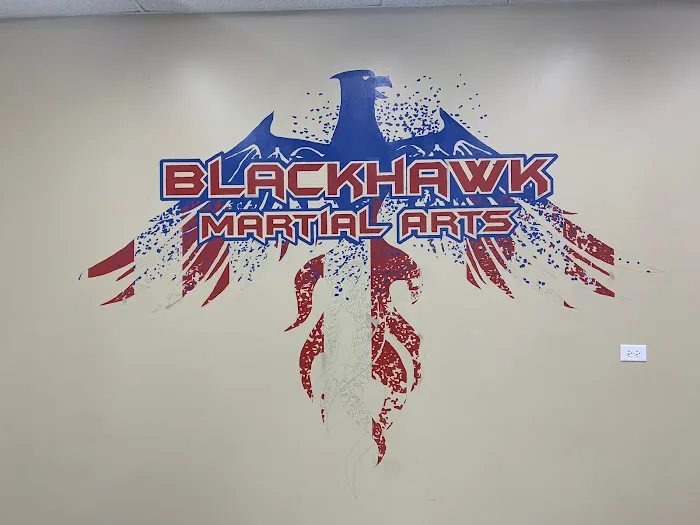 Blackhawk Martial Arts University Picture 9