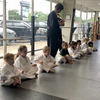 Premier Martial Arts League City ico