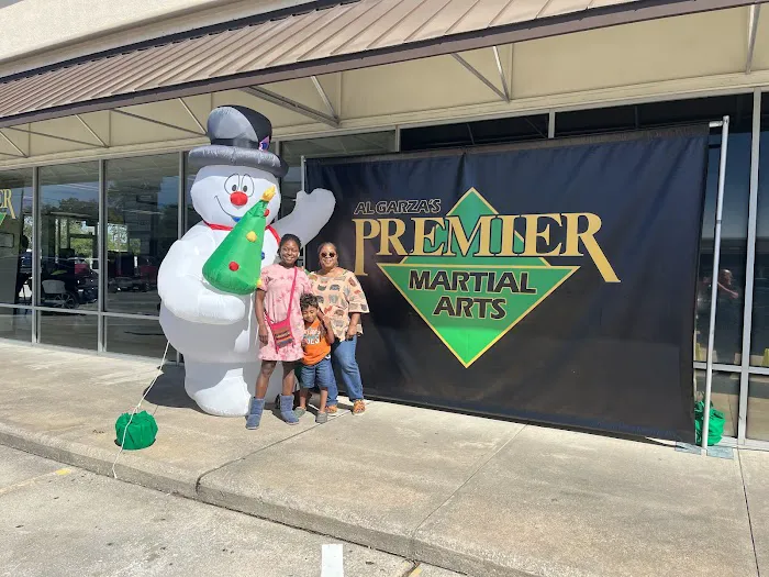 Premier Martial Arts League City Picture 4