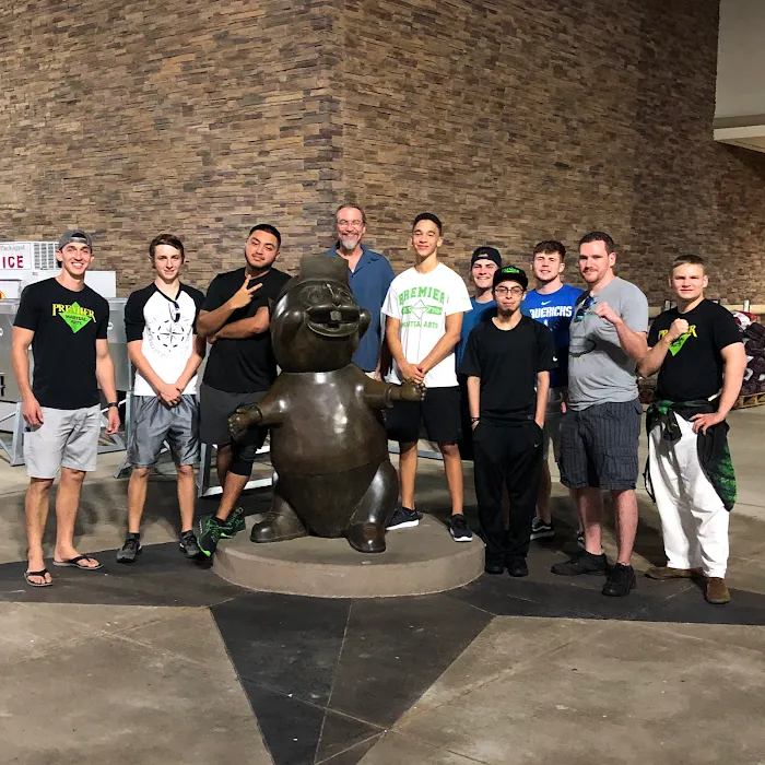 Premier Martial Arts League City Picture 10