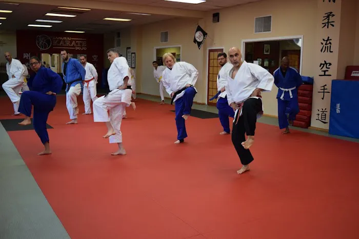 Samurai Karate Dojo Picture 3