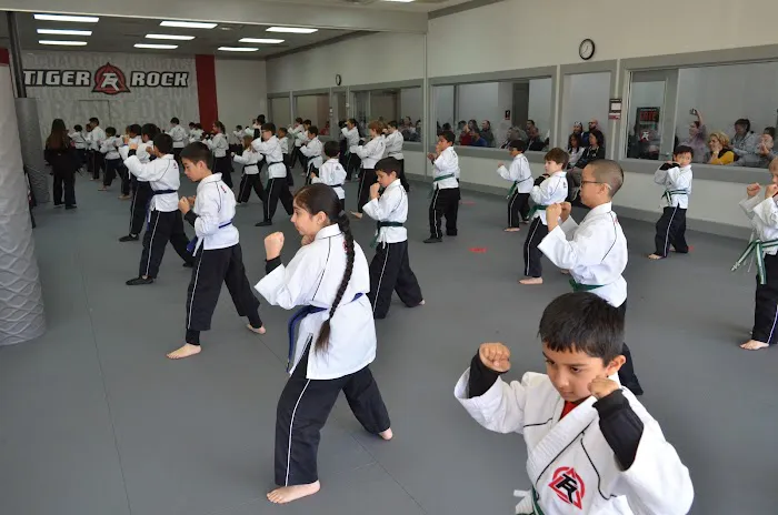 Tiger Rock Martial Arts of Sugar Land Picture 6
