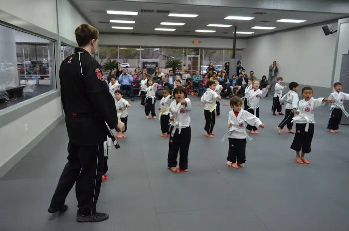 Tiger Rock Martial Arts of Sugar Land Picture 5