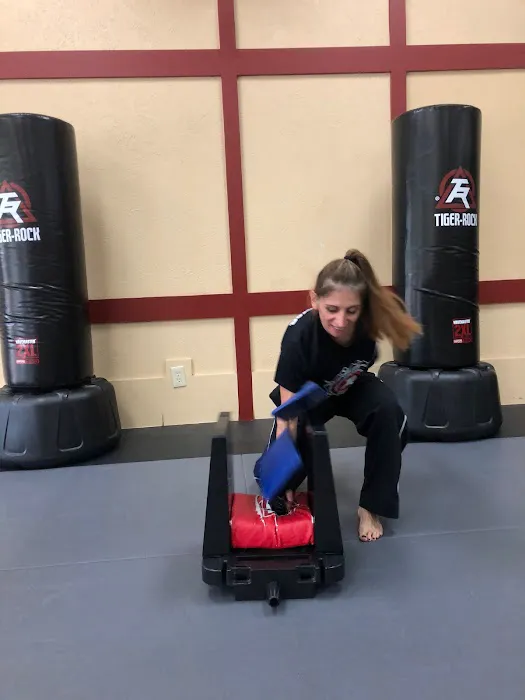 Tiger Rock Martial Arts of Sugar Land Picture 3