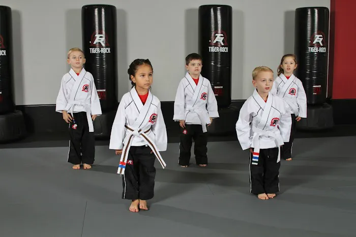 Tiger Rock Martial Arts of Sugar Land Picture 4