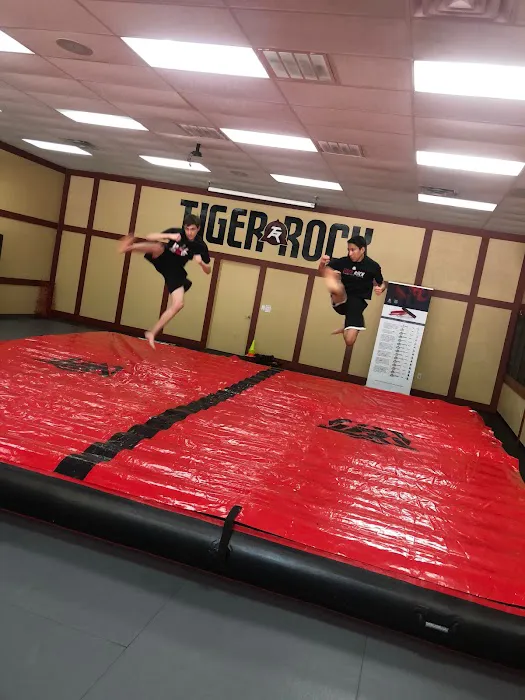 Tiger Rock Martial Arts of Sugar Land Picture 10