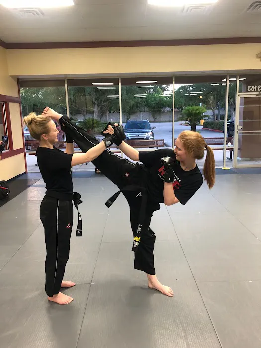 Tiger Rock Martial Arts of Sugar Land Picture 9